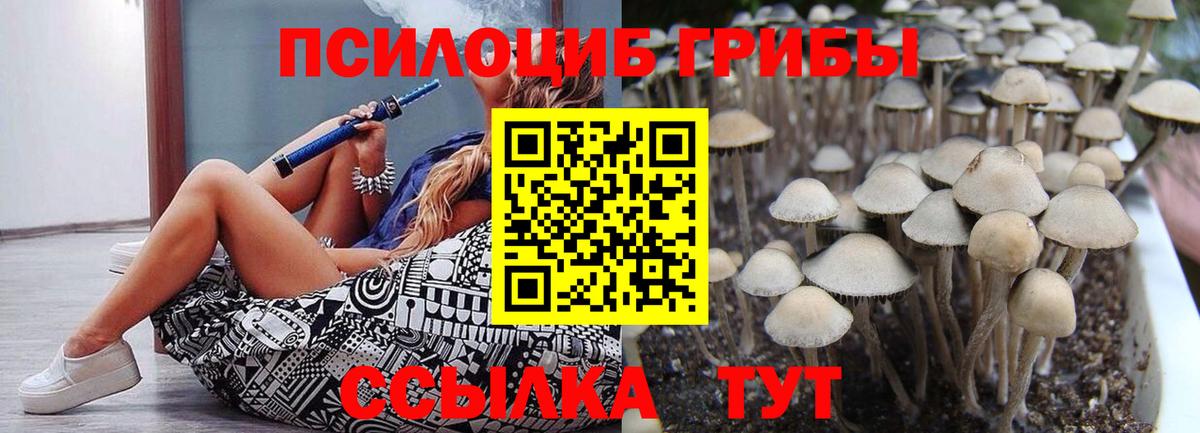 Псилоцибиновые грибы MAGIC MUSHROOMS  Псилоцибиновые грибы Psilocybine cubensis  Ставрополь  Вход с VPN 
