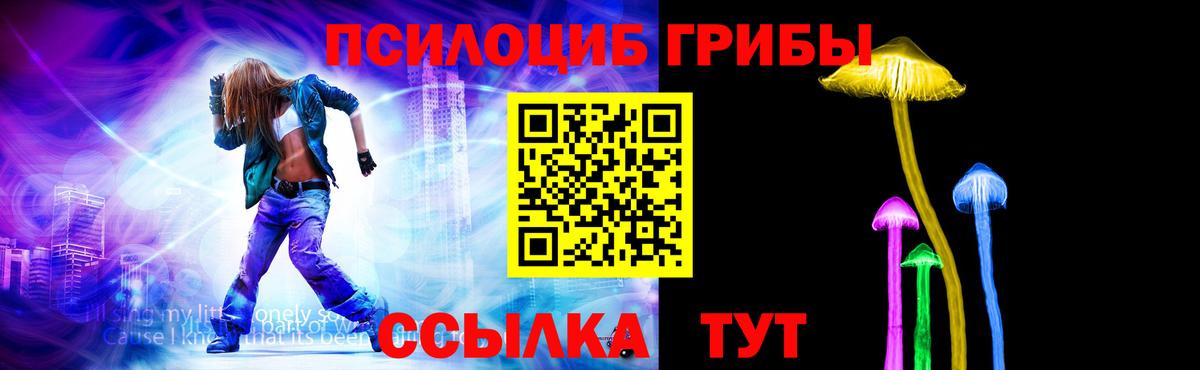 Псилоцибиновые грибы Psilocybe Ставрополь