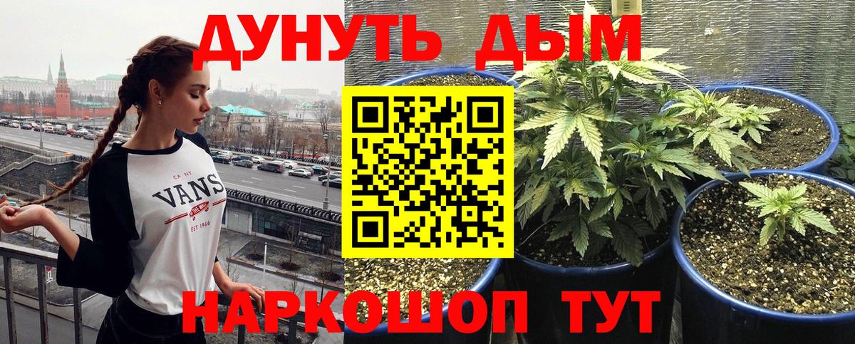 Бошки Шишки ГИДРОПОН Ставрополь