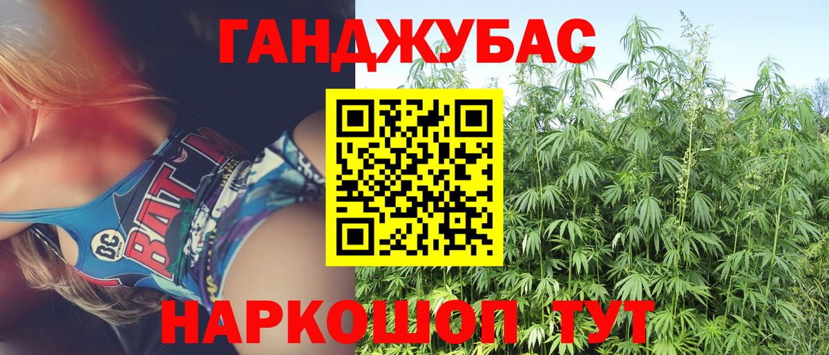Бошки марихуана SATIVA & INDICA  Марихуана OG Kush  Вход с VPN  Каннабис White Widow  Ставрополь  Каннабис план 